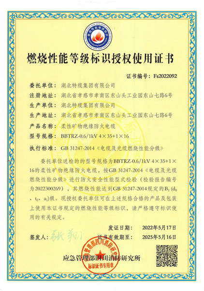 阻燃標(biāo)志證書BBTRZ