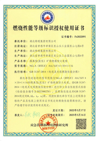 阻燃標(biāo)志證書BTLY